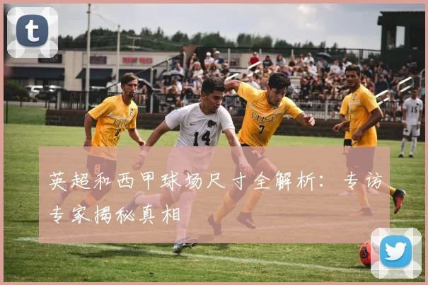 英超和西甲球场尺寸全解析：专访专家揭秘真相